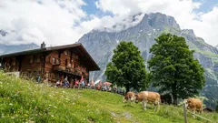 In questi paesi, i turisti vengono accolti a braccia aperte: viaggi senza stress