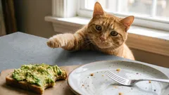 Come impedire al gatto di salire sui tavoli e rubare cibo — consigli esperti