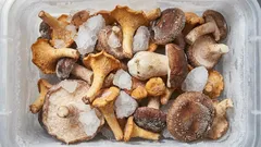 Come conservare correttamente i funghi nel congelatore: congelarli senza delusioni — Consigli degli esperti