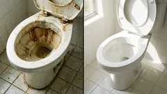 Il segreto delle casalinghe: come pulire il water senza fatica